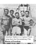 Waves of Freedom The Movie (DVD Format)