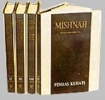 Mishnah Kehati Hebrew - English Pocket Size (incomplete set contains 41 of 46 volumes)