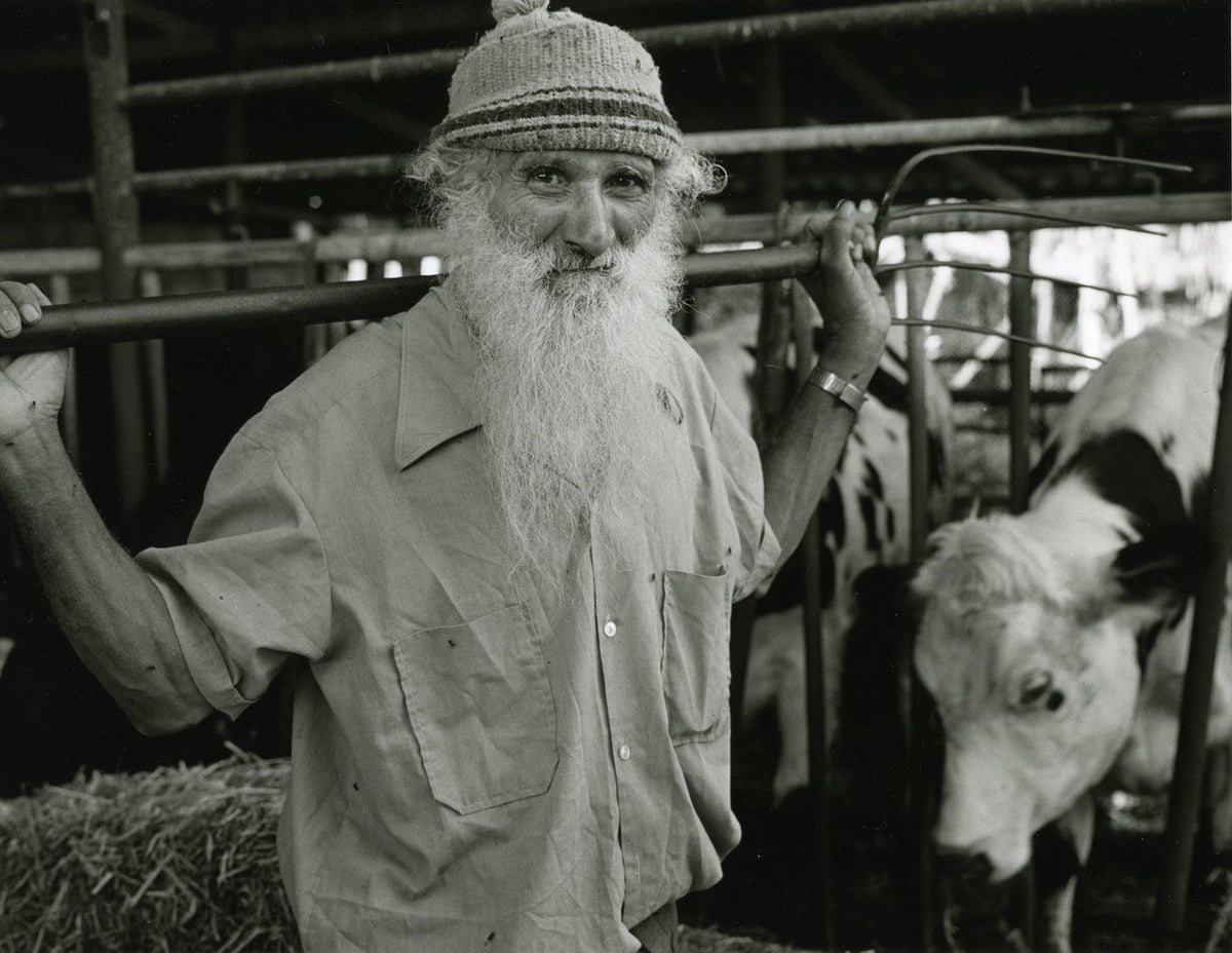 The Jews of Yemen. The Last Generation (Hebrew-English)