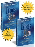 Library of Torah Commentary 3 Leading Rabbis (shipping in US included)