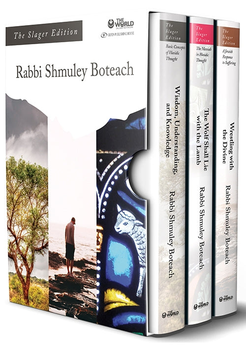 Rabbi Shmuley Boteach The Slager Edition Boxed Set