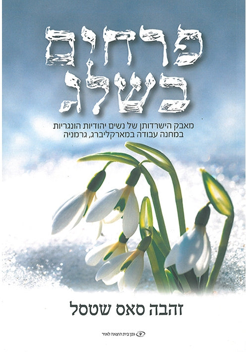 Snow Flowers (Hebrew)