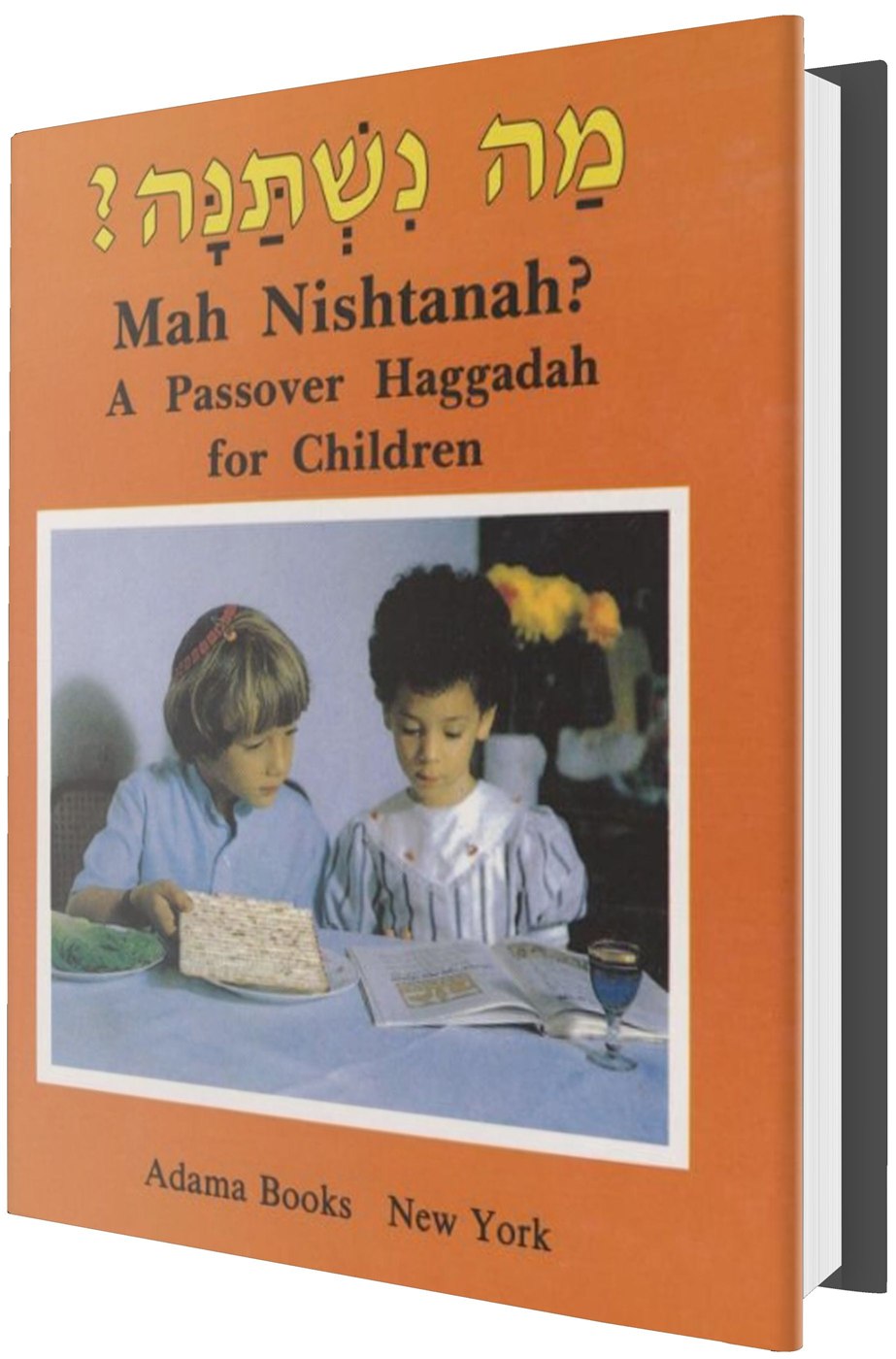 Mah Nishtanah? Haggadah for Children
